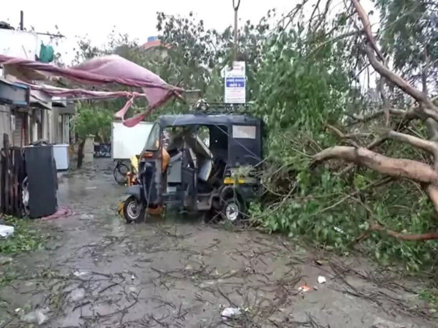 Cyclone Biparjoy: 1,000 villages in Gujarat without power; trees uprooted, houses damaged