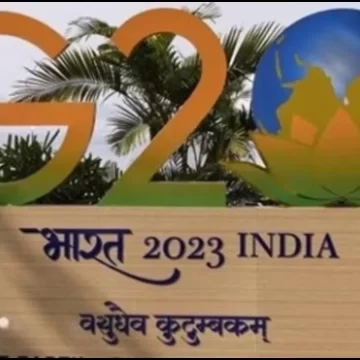 Delhi LG sets up 11 panels to monitor G20-related work