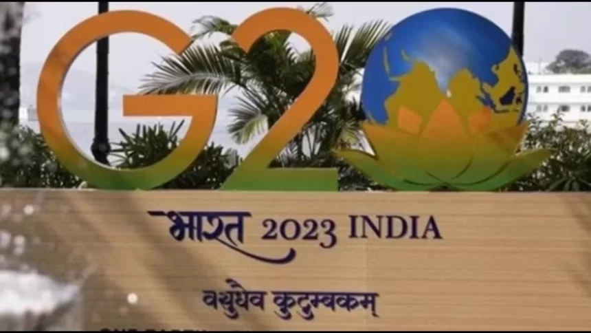 Delhi LG sets up 11 panels to monitor G20-related work