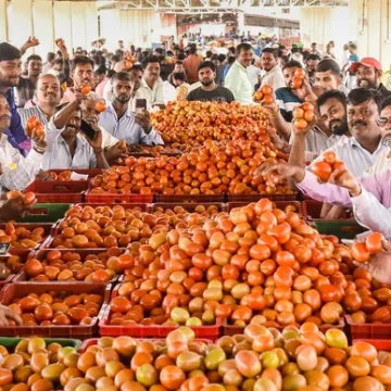 Centre to sell tomatoes at discounted rates in Delhi, other cities