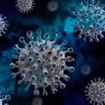 Disease X Could Bring Next Pandemic, Kill 50 Million People