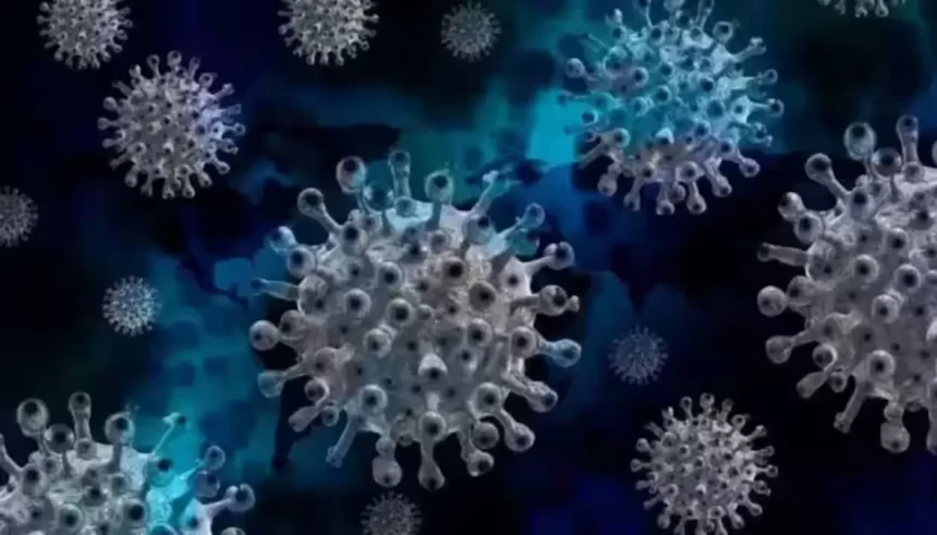 Disease X Could Bring Next Pandemic, Kill 50 Million People
