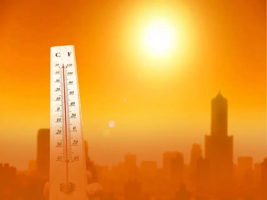 Delhi sees hottest Sep day in at 15 years
