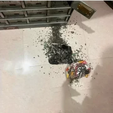 UP women loses Rs 18 lakh cash after termites destroy them in bank locker