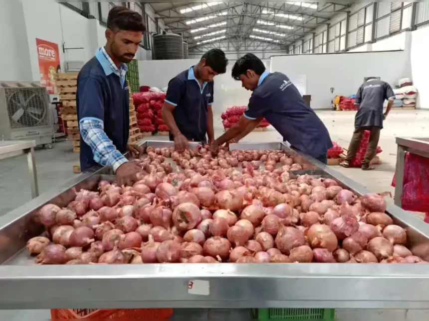 India allows exports of 10,000 tonnes onion to UAE