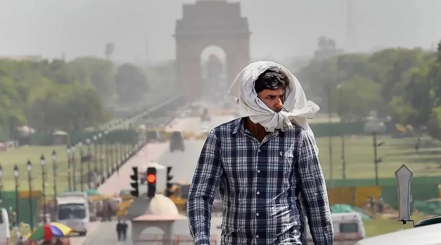 Delhi logs maximum temperature of 41.1°C, hottest this year