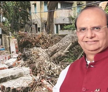 ‘Was Not Aware Permission Required’: Delhi LG To SC Over Ridge Tree-Felling