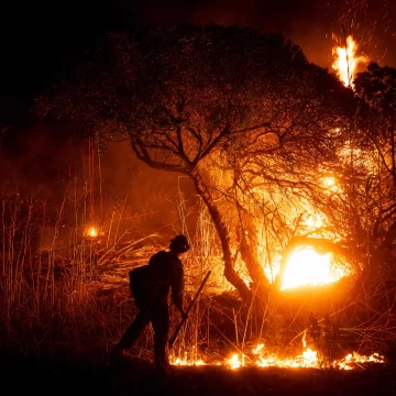 LA fire: Death toll reaches 24, over 12,000 structures damaged, nearly $275 bn. loss in Los Angeles