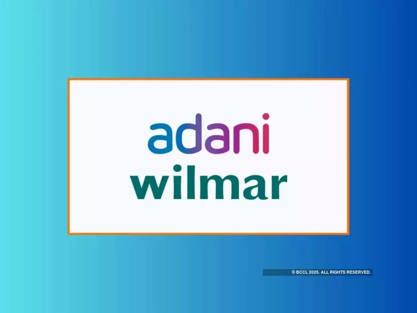 Adani Group raises Rs 4,850 cr from 13.5% stake sale in Adani Wilmar