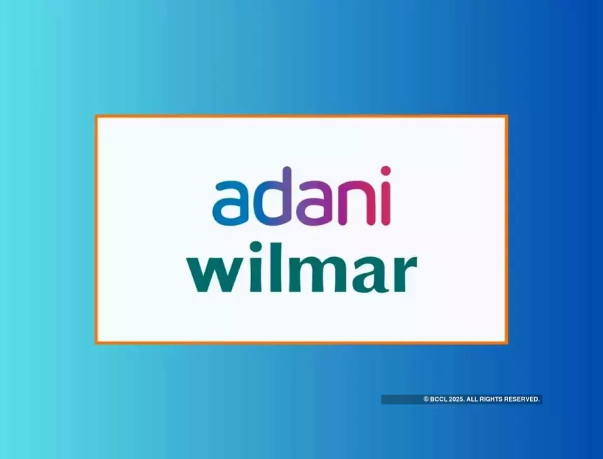 Adani Group raises Rs 4,850 cr from 13.5% stake sale in Adani Wilmar