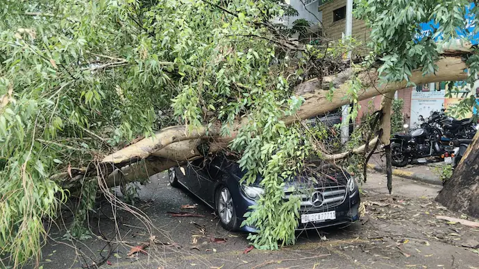 Red alert in Delhi as rain batters capital, tree crushes vehicles Red alert in Delhi as rain batters capital, tree crushes vehicles
