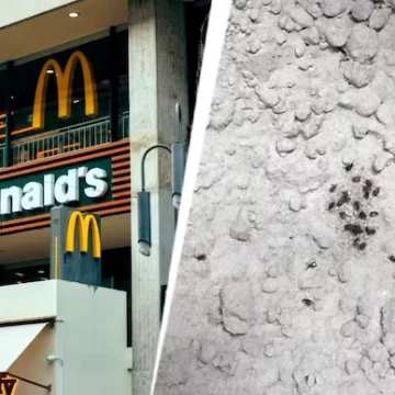 Maharashtra FDA suspends licences of McDonald’s, over food safety violations Maharashtra FDA suspends licences of McDonald’s, over food safety violations