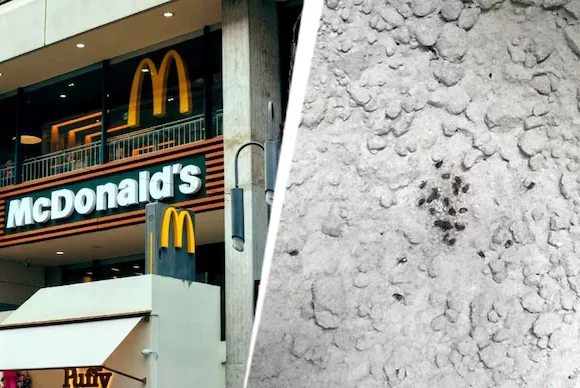 Maharashtra FDA suspends licences of McDonald’s, over food safety violations