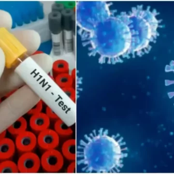 Delhi Govt Issues H1N1 Swine Flu Alert, Shares Symptoms And Urges Use Of Mask Delhi Govt Issues H1N1 Swine Flu Alert, Shares Symptoms And Urges Use Of Mask
