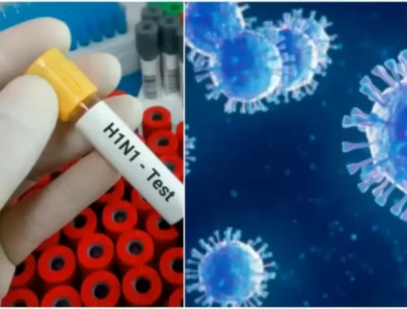 Delhi Govt Issues H1N1 Swine Flu Alert, Shares Symptoms And Urges Use Of Mask