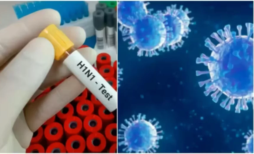 Delhi Govt Issues H1N1 Swine Flu Alert, Shares Symptoms And Urges Use Of Mask